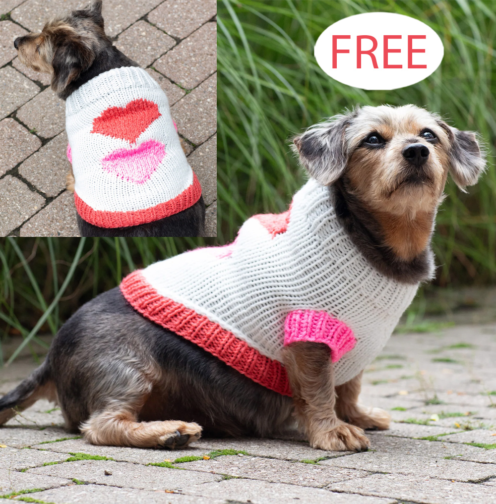 Free Puppy Love Sweater Knitting Pattern