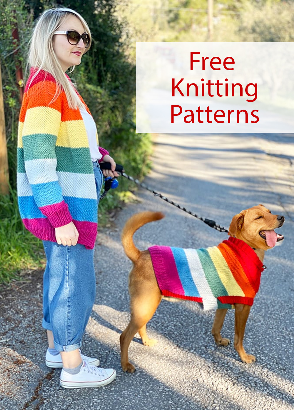 Free Knitting Pattern for Rainbow Dog Sweater in 3 Sizes