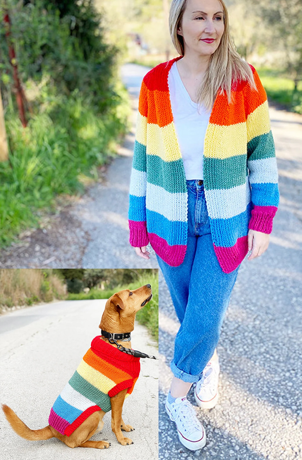 Free Knitting Pattern for Rainbow Dog Sweater in 3 Sizes
