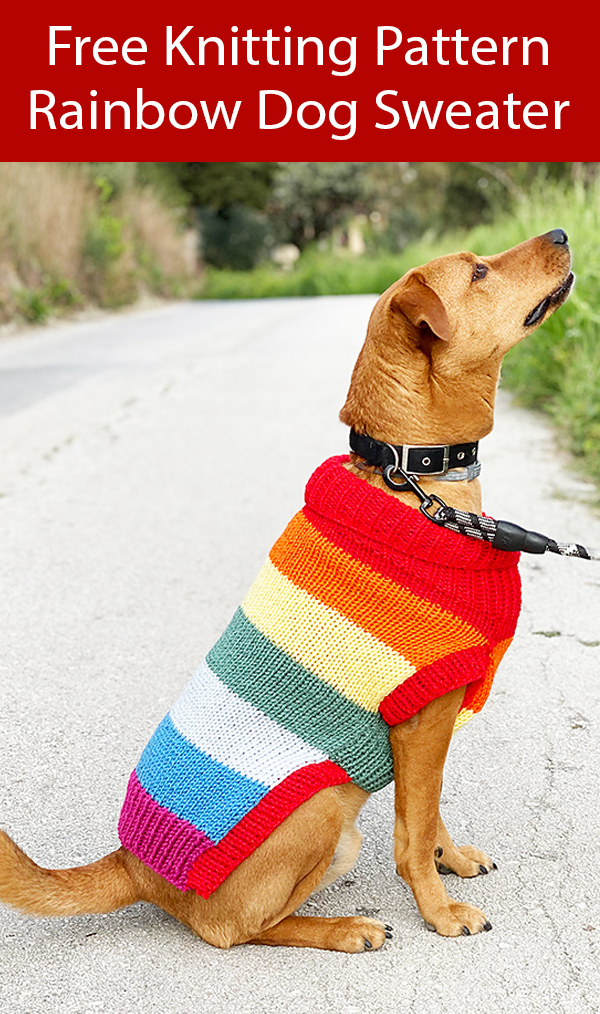 Flat knit outlet dog sweater