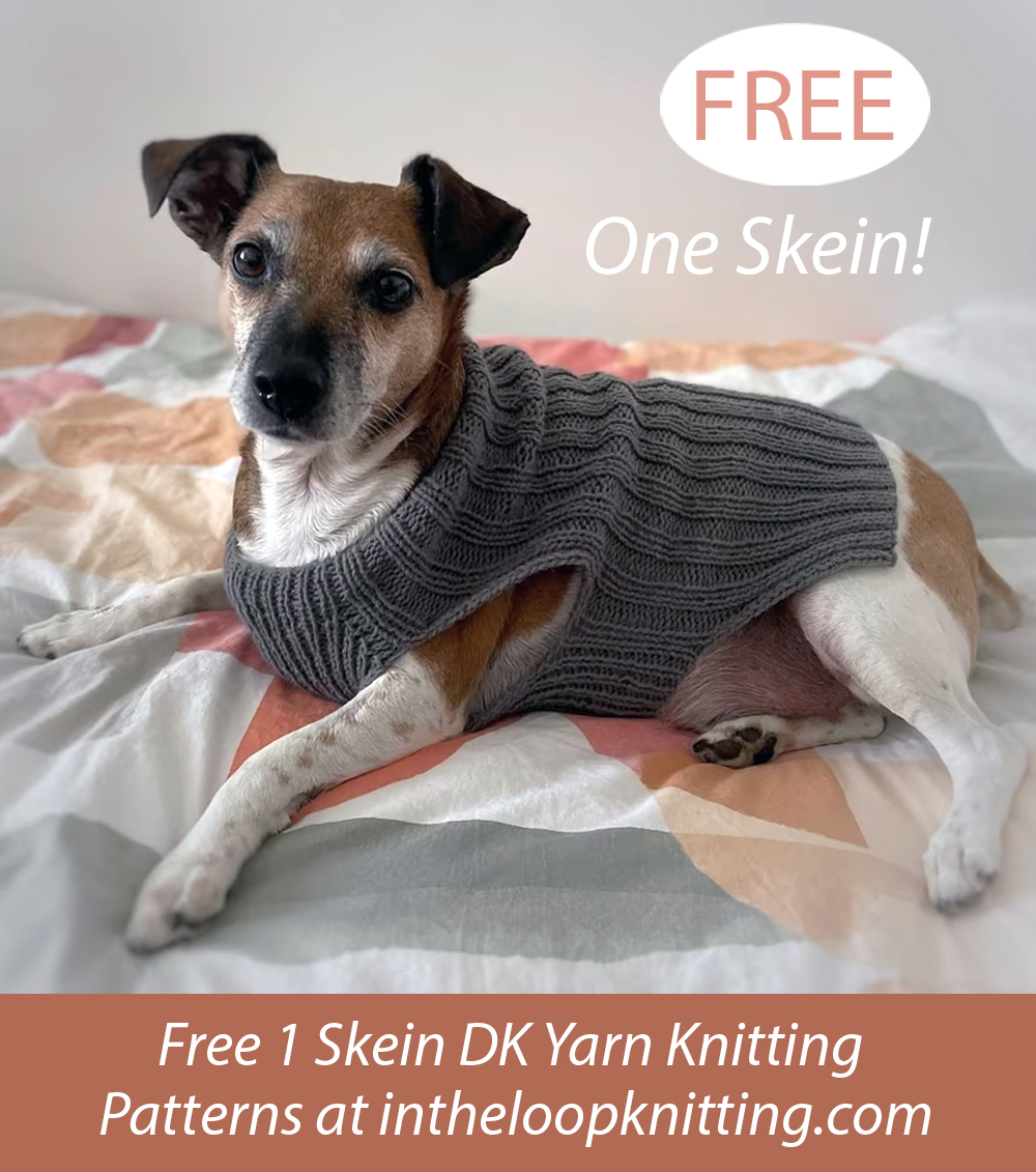 Free One Skein Red's Simple Stretchy Dog Sweater Knitting Pattern