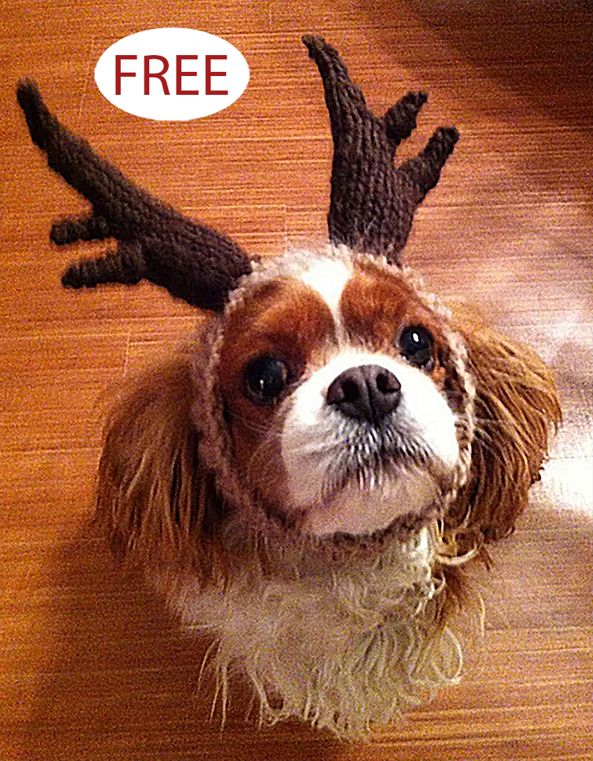 Free Christmas ROFL Dog Antlers Knitting Pattern