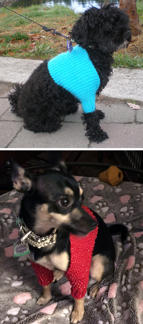 Free Knitting Pattern for Easy Roxy Dog Shrug