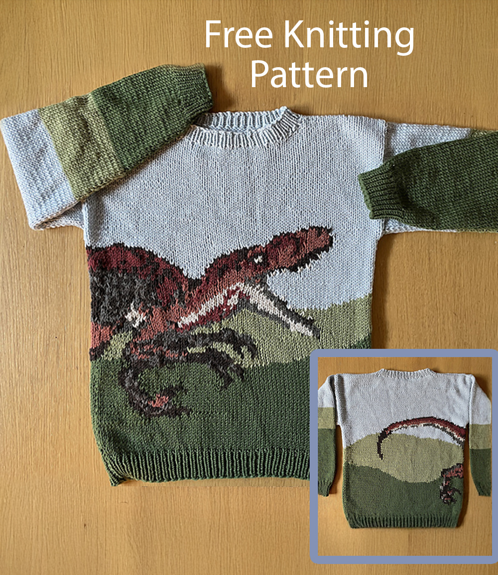 Free Child's Sweater Knitting Pattern Run for the Raptor Sweater