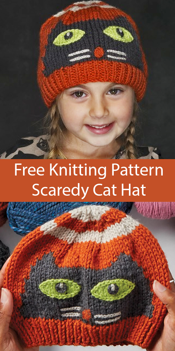 Free Knitting Pattern for Scaredy Cat Hat