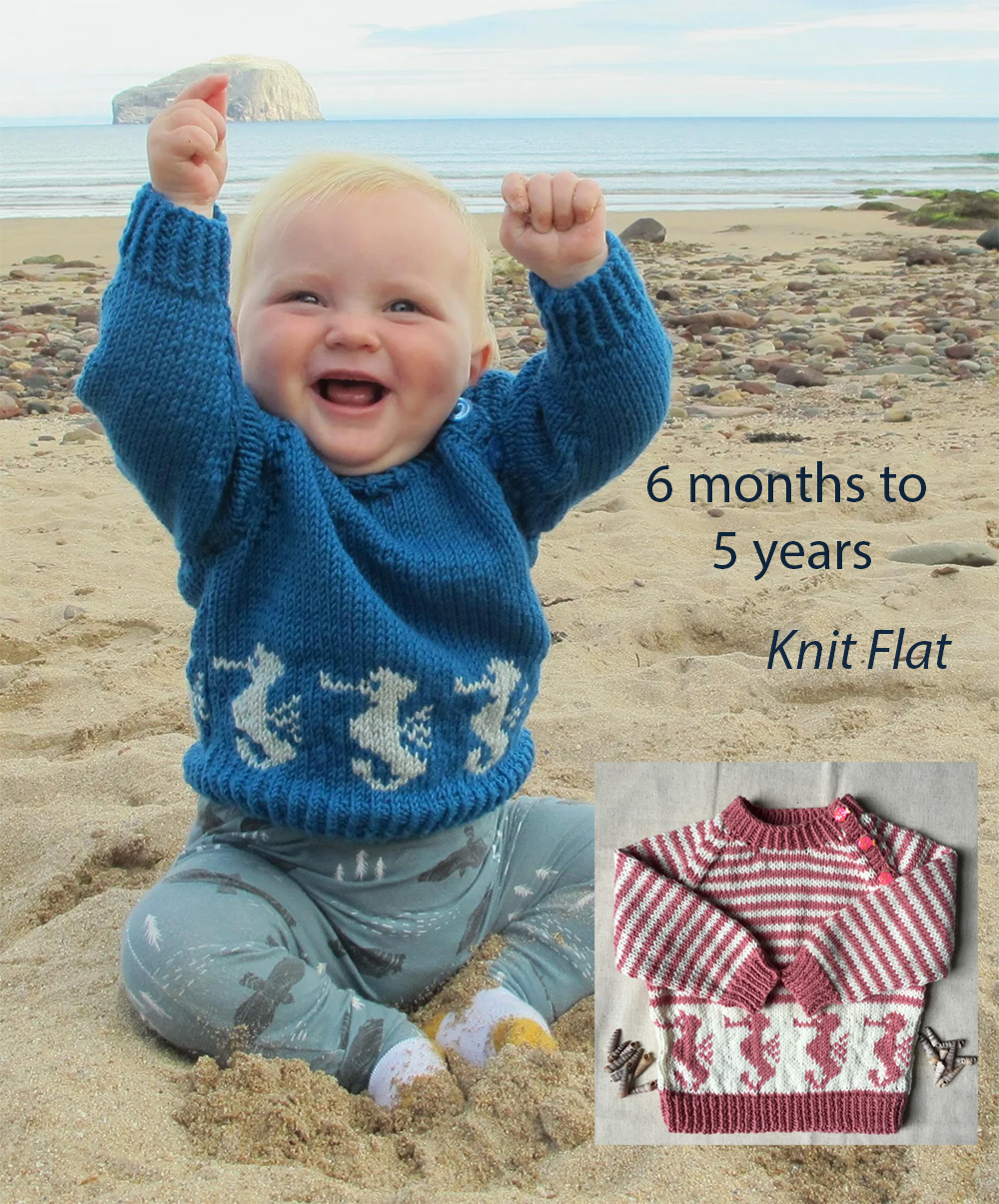 Free Knitting Pattern Seahorse Jumper