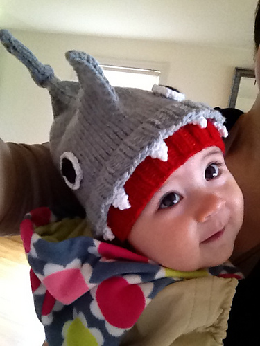 Free knitting pattern for baby Shark Hat