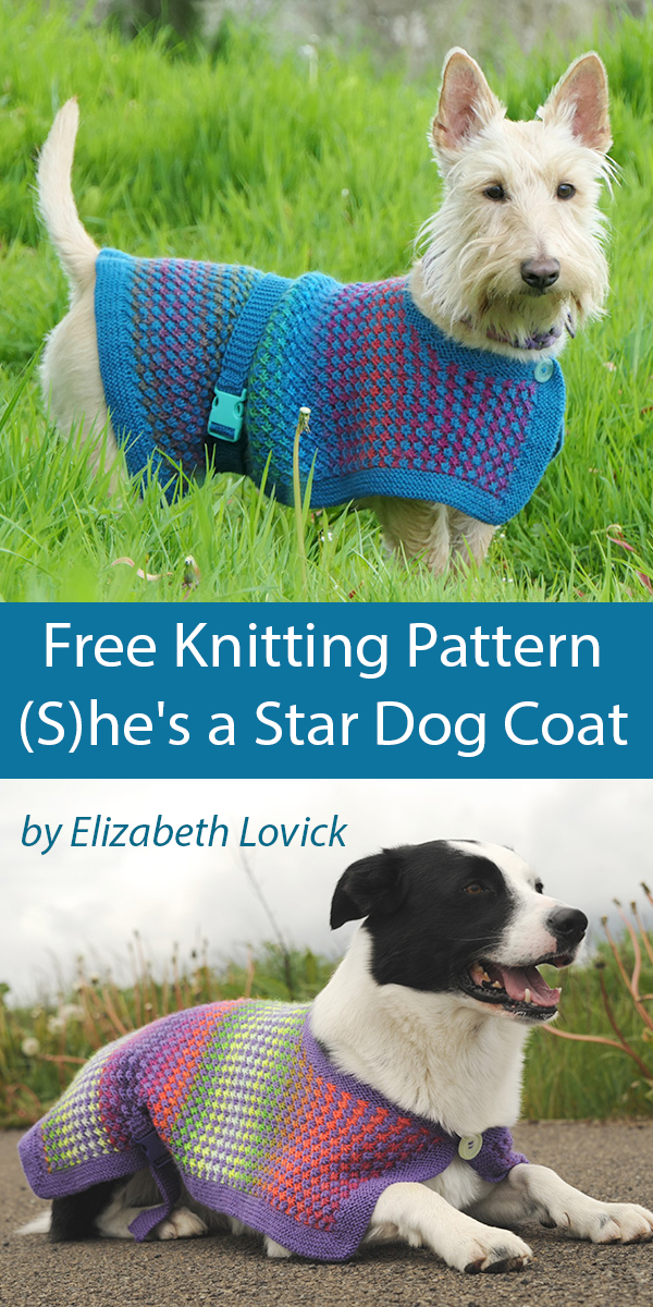 Free Dog Coat Knitting Pattern (S)he's a Star Sweater
