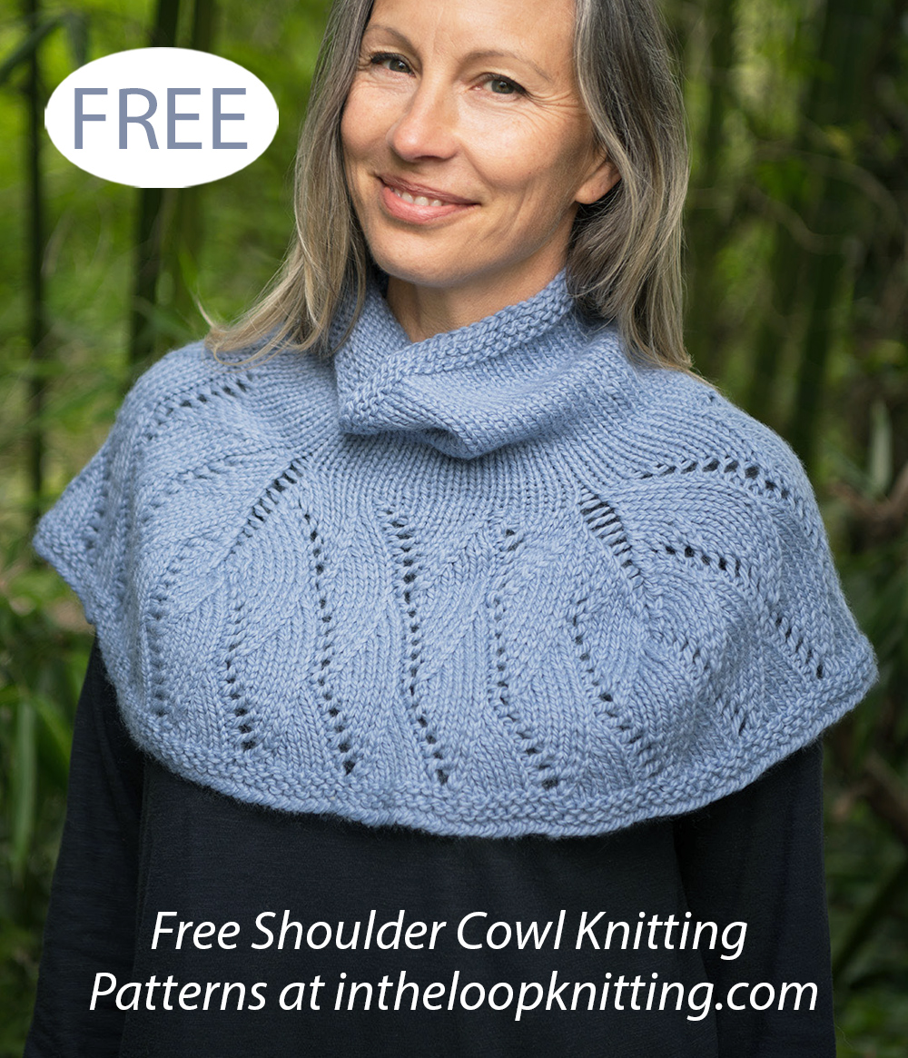 Free Shoulder Cozy Cowl Knitting