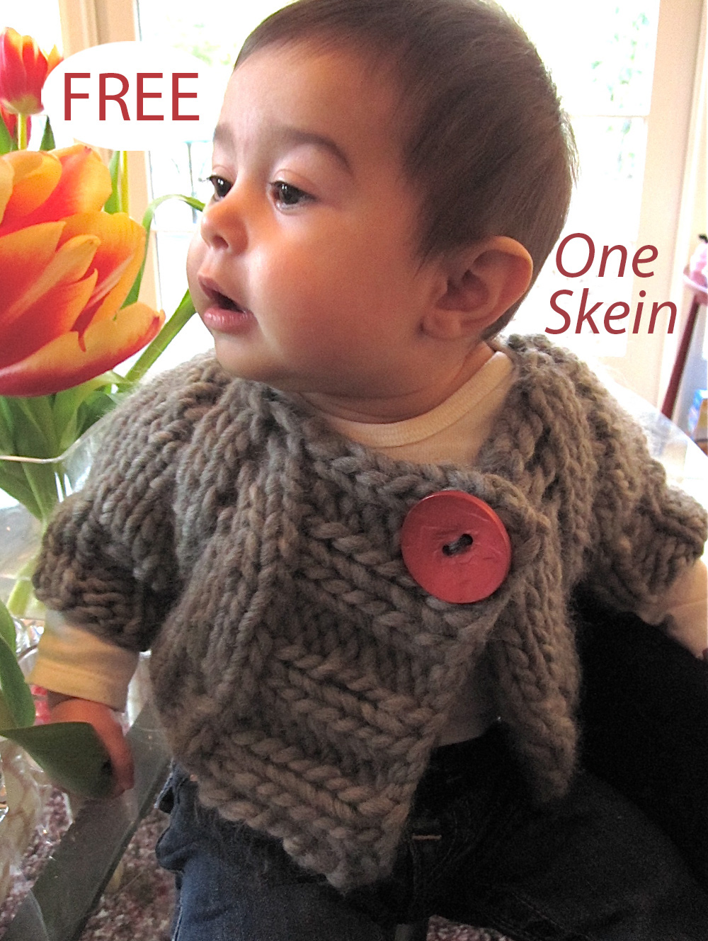 Free One Skein Shrug Bug Knitting Pattern