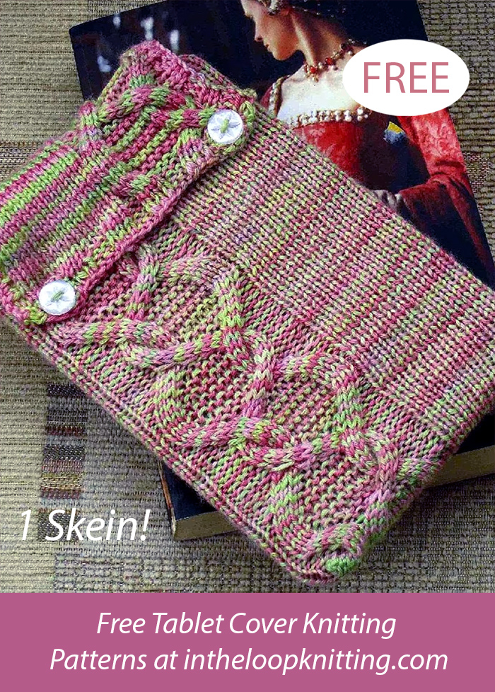 Free One Skein Snakes and Ladders Tablet Cover Knitting Pattern