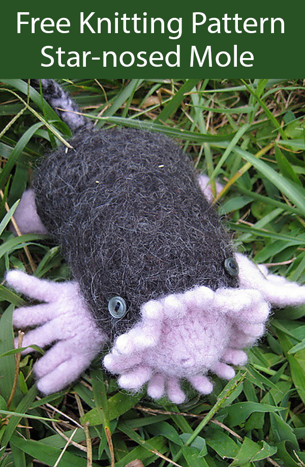 Free Knitting Pattern for Star-nosed Mole