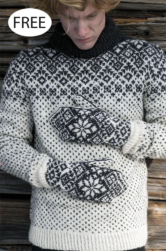 Free Stjärnfall  Sweater and Mittens Knitting Pattern