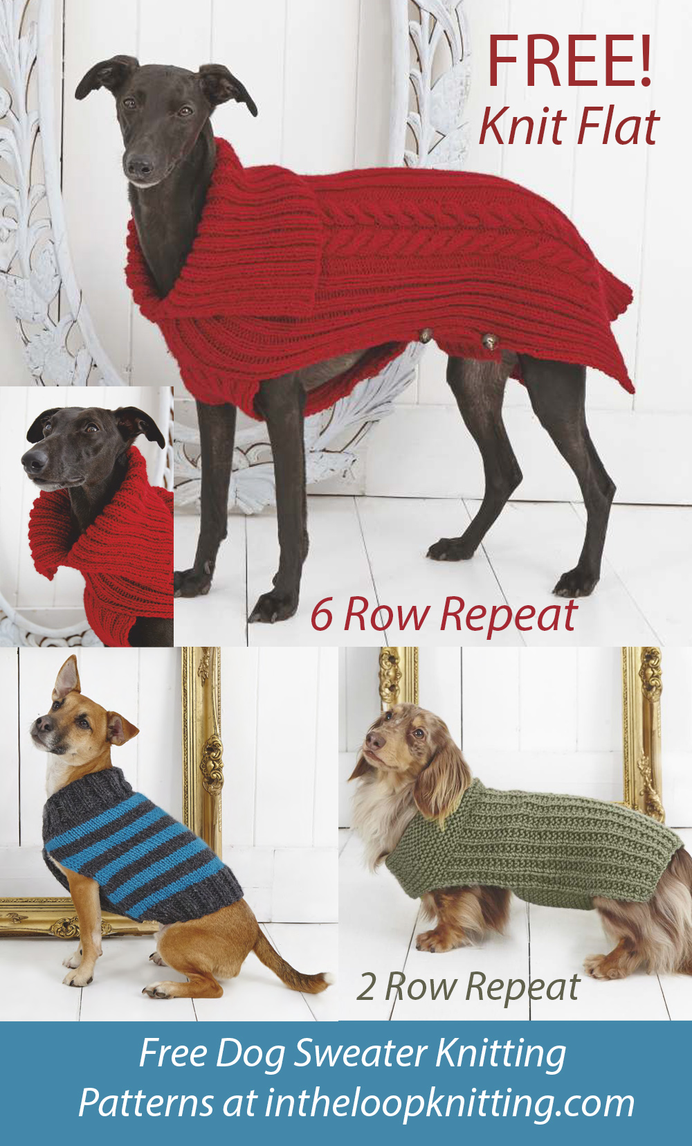 Free Dog Coats Knitting Pattern Knit Flat from Stylecraft
