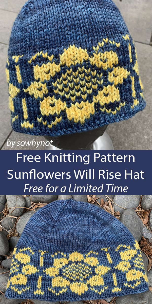 Sunflowers Will Rise Hat Free Knitting Pattern Ukraine Support