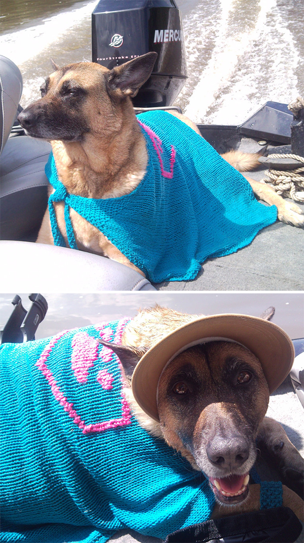 Free Knitting Pattern for SuperDog Cooling Cape