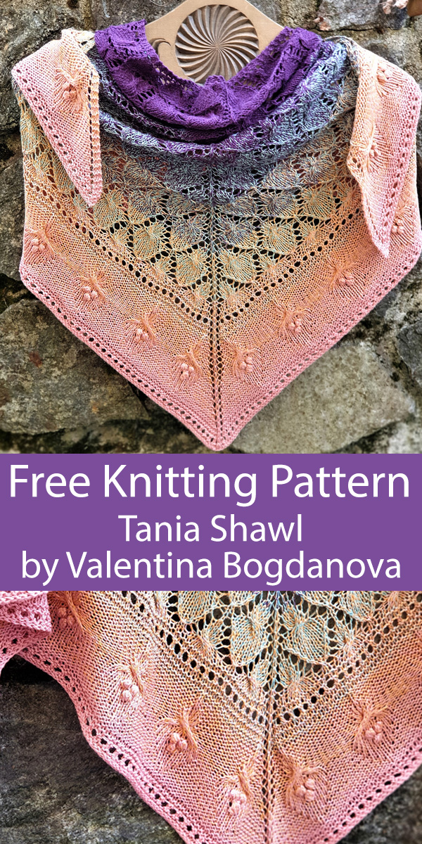 Free Knitting Pattern for Taina Shawl