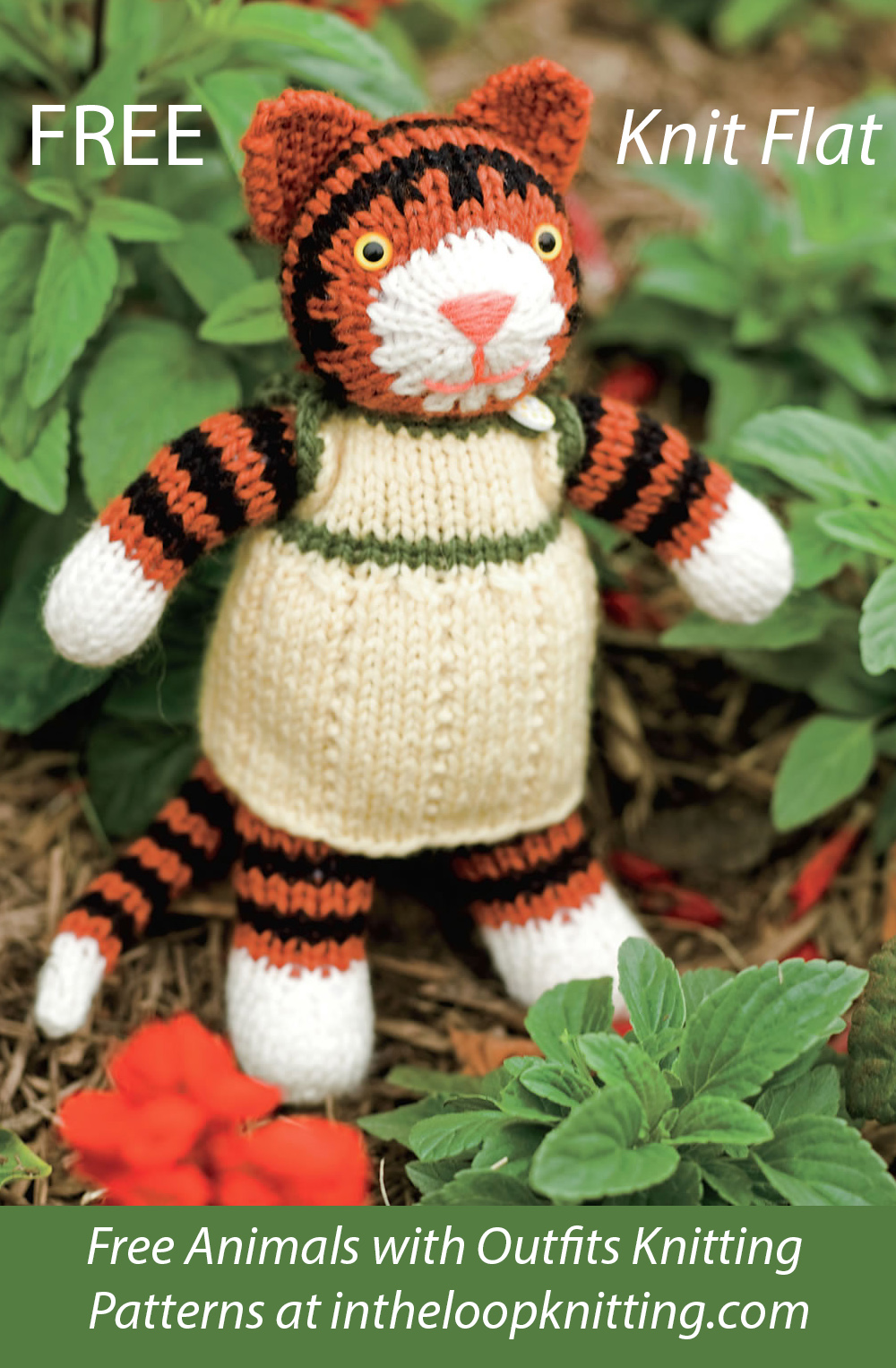 Free Tiger Lily Knitting Pattern
