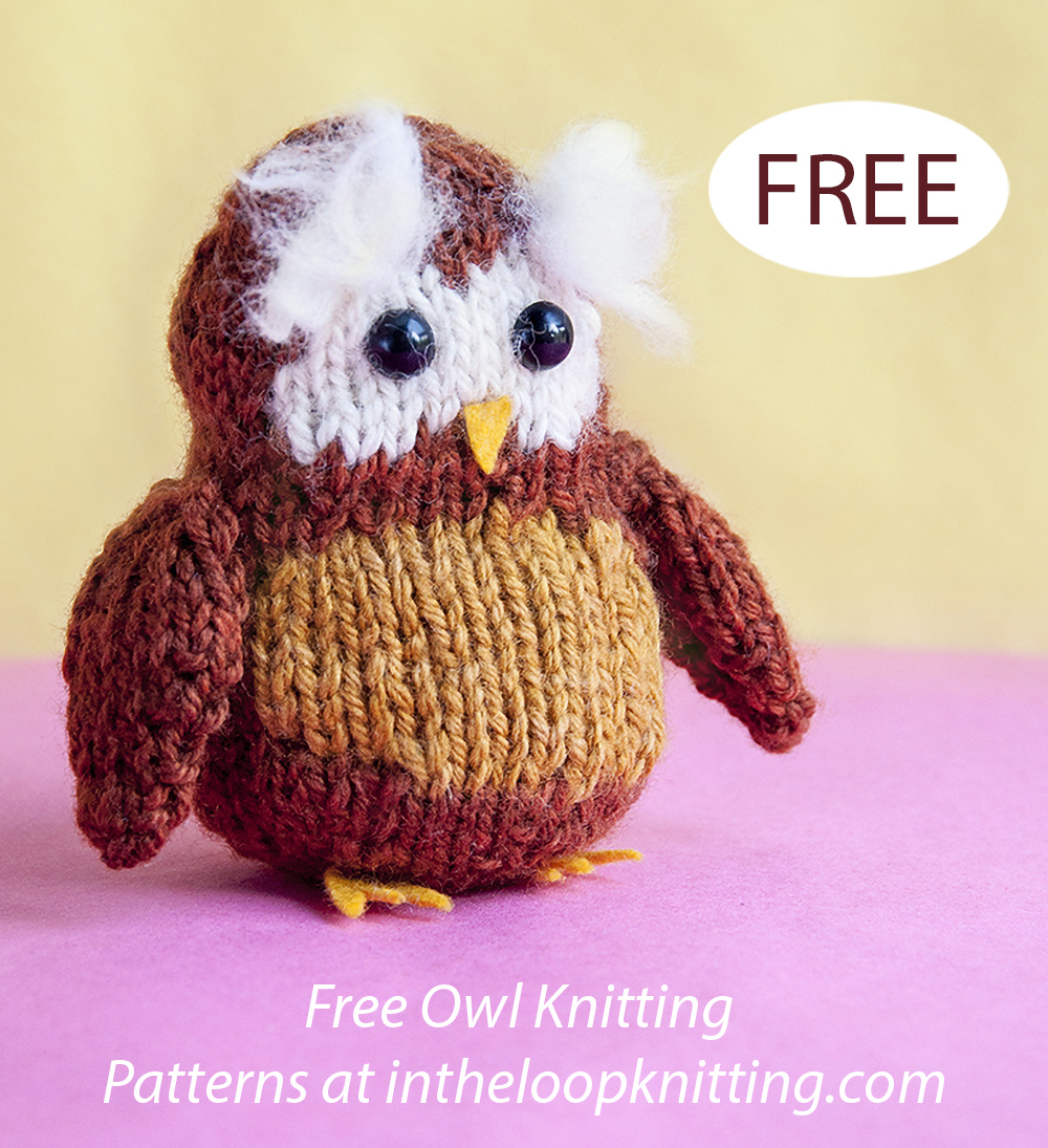 Free Tiny Explorer Owl Knitting Pattern