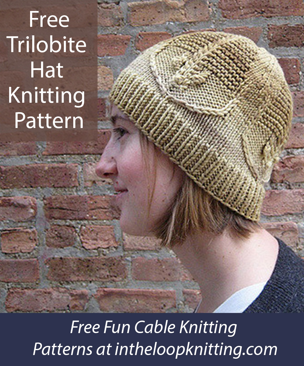 Free Trilobite Hat Knitting Pattern