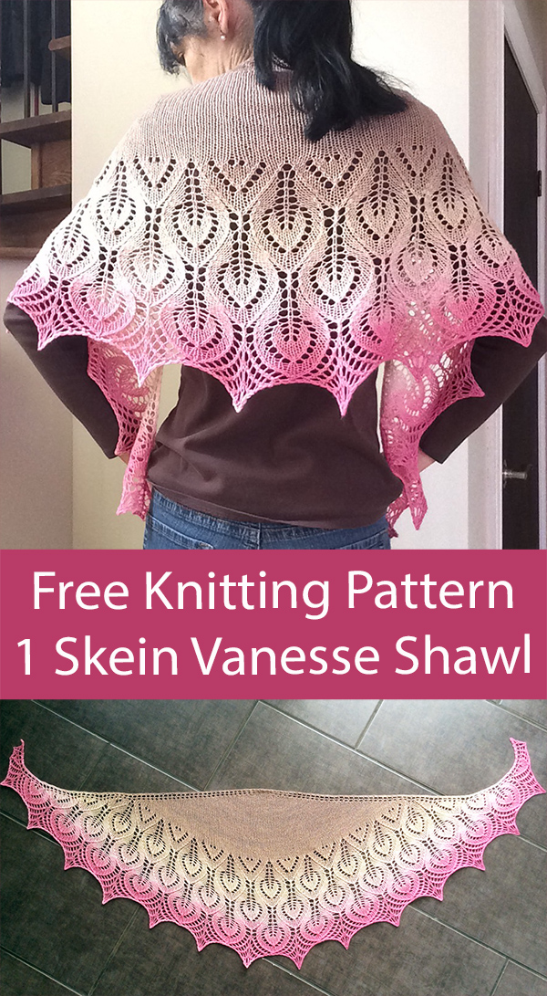 Free Shawl Knitting Pattern One Skein Vanesse Shawl