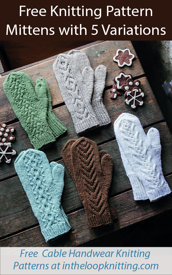 Free Mittens Knitting Pattern with 5 Variations