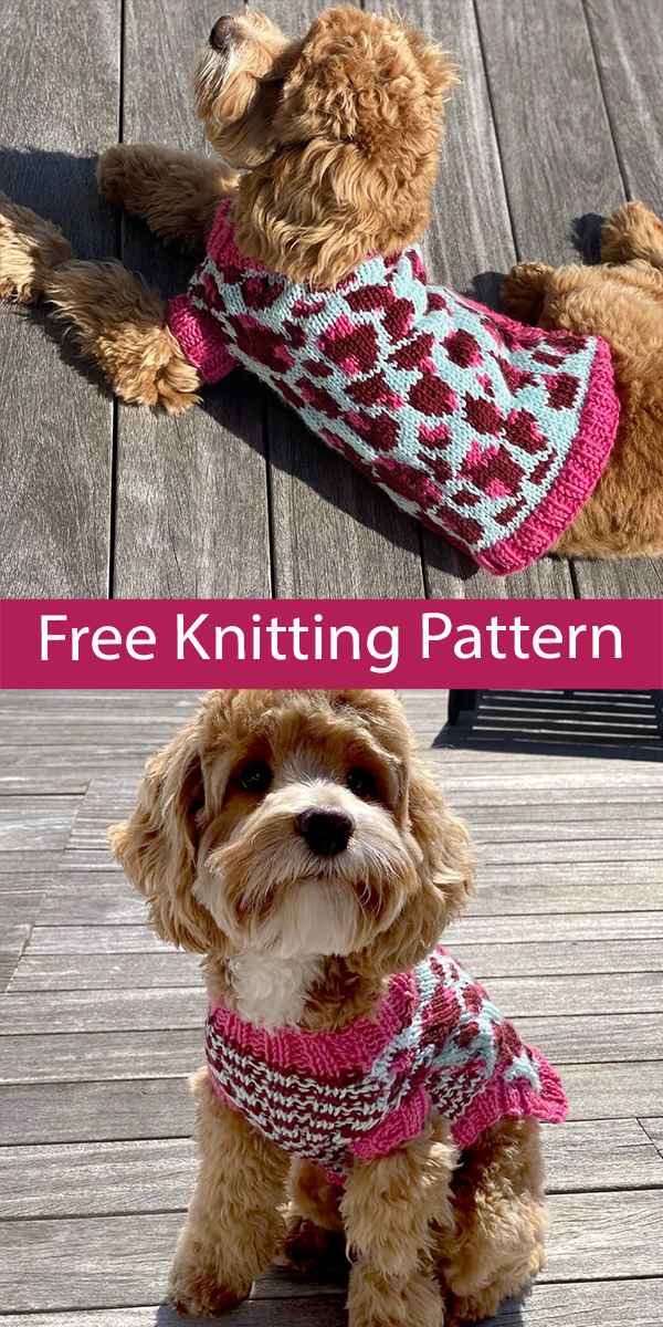 Free Dog Sweater Knitting Pattern Vibrant Leopard Dog Coat 3 Sizes