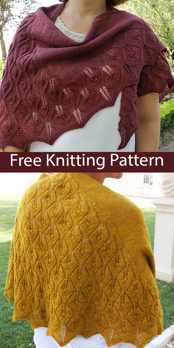 Free Shawl Knitting Pattern Leaf Lace Vice-Versa Shawl