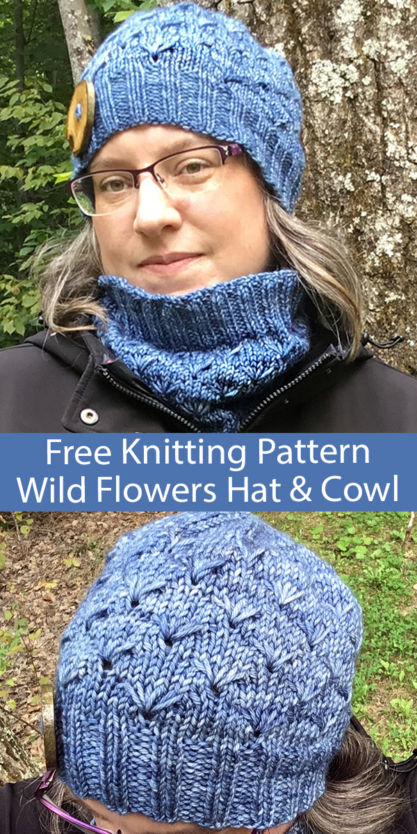 Free Hat and Cowl Knitting Pattern Wild Flowers Hat and Cowl