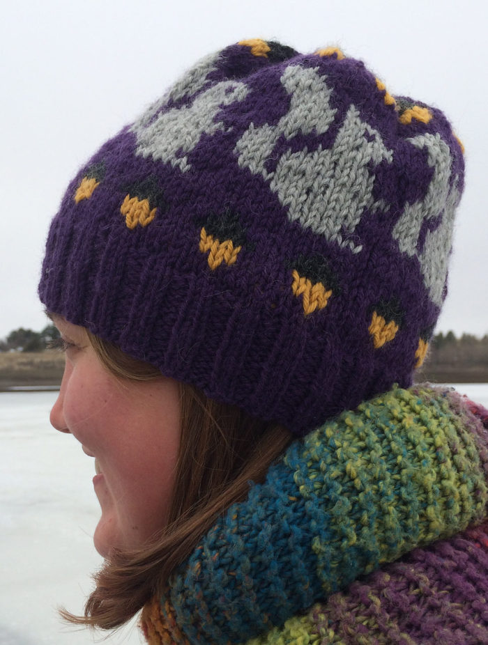 Free Knitting Pattern for Willa's Hat