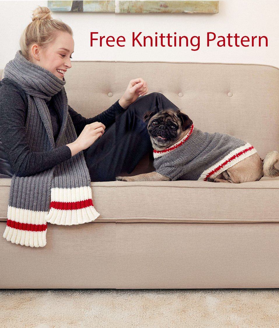 Free Work Sock Dog Coat and Scarf Knitting Pattern