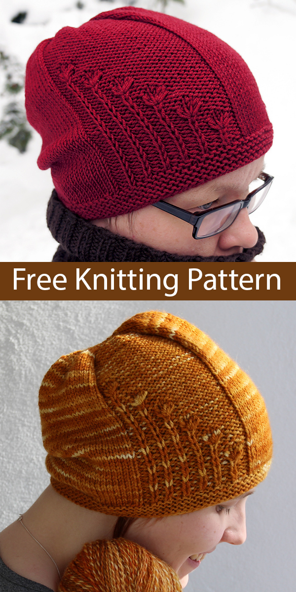 Free Knitting Pattern for Easy Xeranthemum Hat