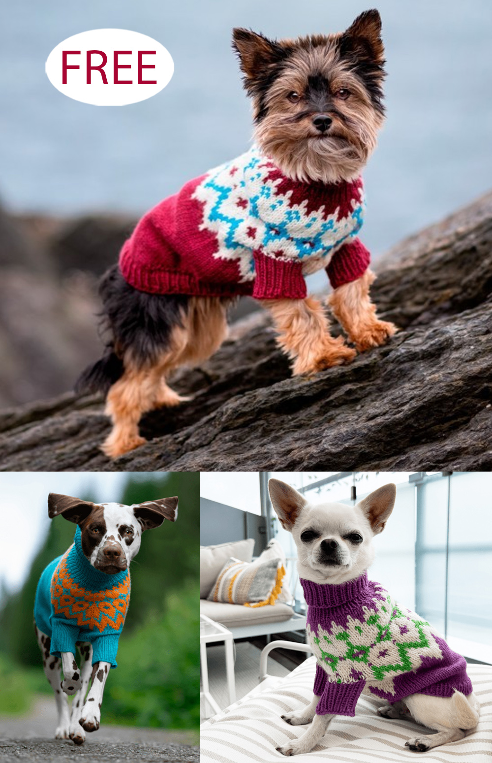 Free Diamond Dog Sweaters Knitting Pattern